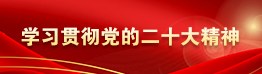 學(xué)習(xí)貫徹黨的二十大精神