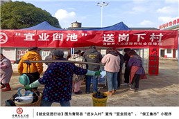 青陽縣促進(jìn)就業(yè)行動